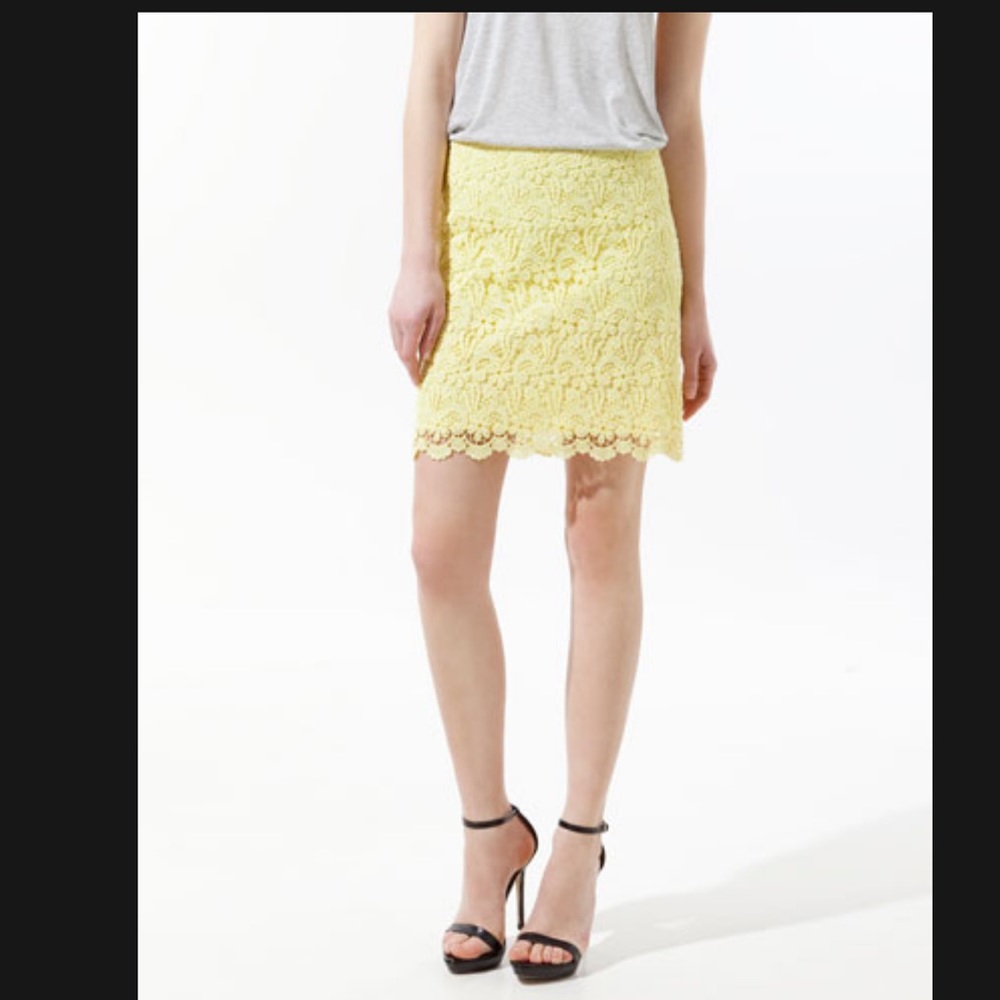 Guipure Lace Skirt